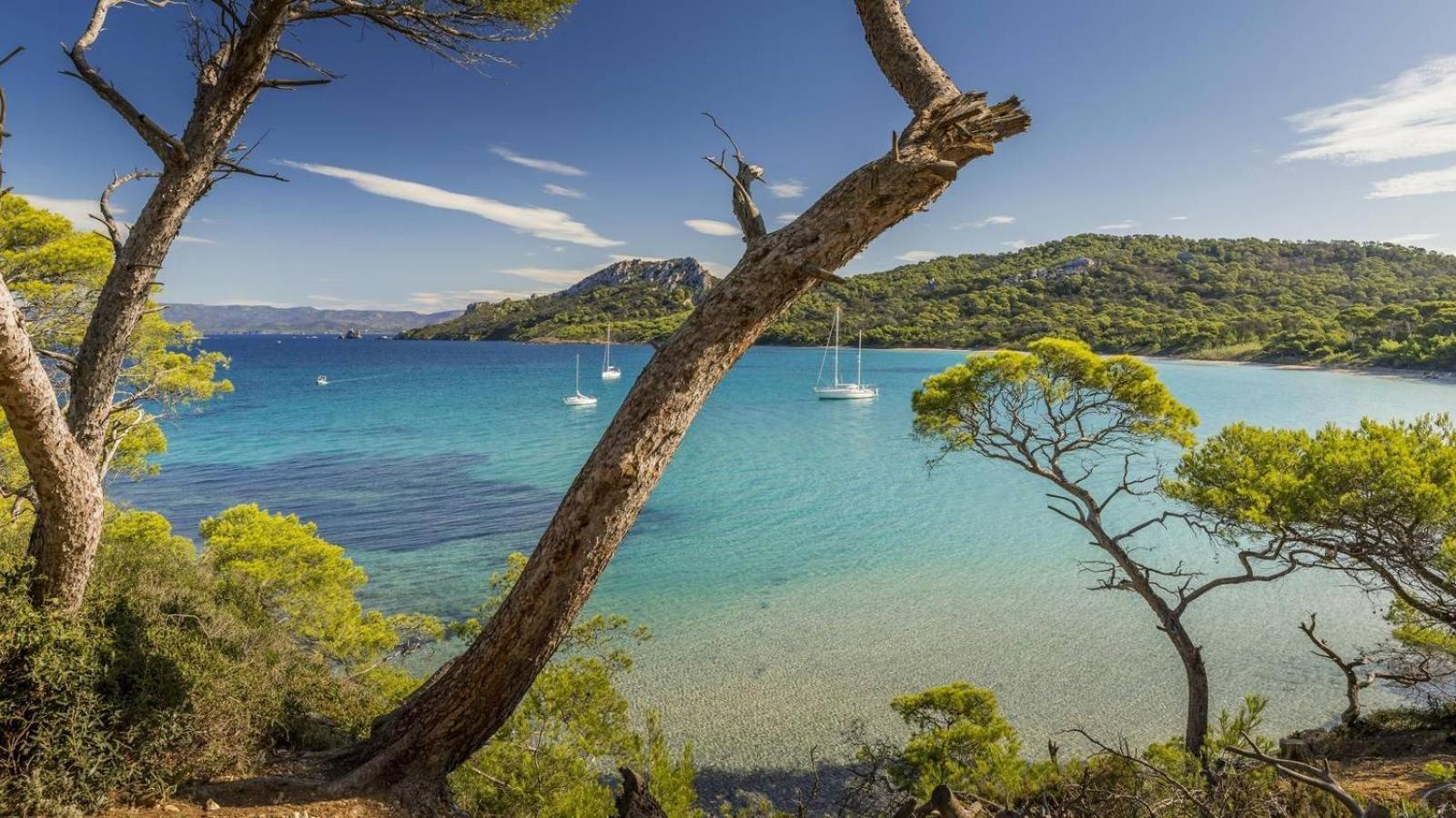 Calme Et Confort En Rez-De-Jardin La Londe-les-Maures ภายนอก รูปภาพ